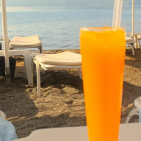 Yunus 马尔马里斯